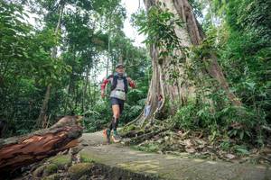 BIB: 
                            <button type="button" onclick="openModal(24809754)" class="btn btn-primary btn-sm float-right btn-popup" data-toggle="modal" data-target=".modal-high-quality">
                        <i class="fas fa-shopping-cart"></i> Add to Cart
                    </button>
                                            <button type="button" onclick="isThisMe(24809754, true)" class="btn btn-success btn-sm float-right btn-popup btn-isme hidden" data-toggle="tooltip" data-placement="bottom" title="นี่คือรูปของคุณใช่ไหม คลิกที่นี่เพื่อเอาเข้าอัลบั้ม">
                        <i class="fas fa-plus"></i> Add to album
                    </button>
                    <button type="button" onclick="isThisMe(24809754, false)" class="btn btn-warning btn-sm float-right btn-popup btn-isnotme hidden">
                        <i class="fas fa-ban"></i> Remove from album
                    </button>